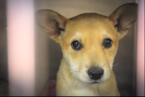 Screen Shot 2013-05-24 at 10.35.07 AM