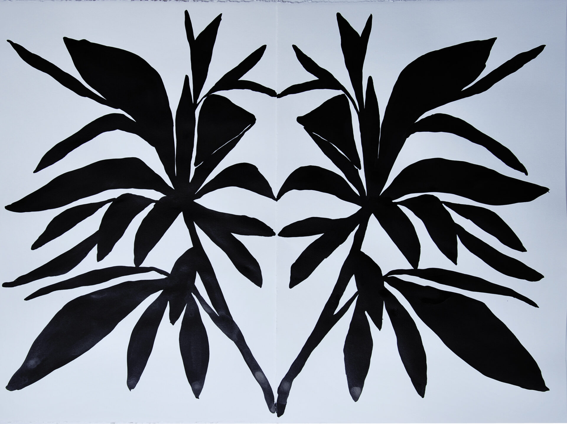 "Corn Plant" by Kate Roebuck Photo provided by Southside Gallery