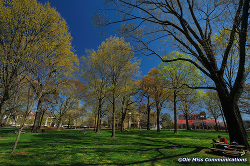 Photo by Kevin Bain/Ole Miss Communications