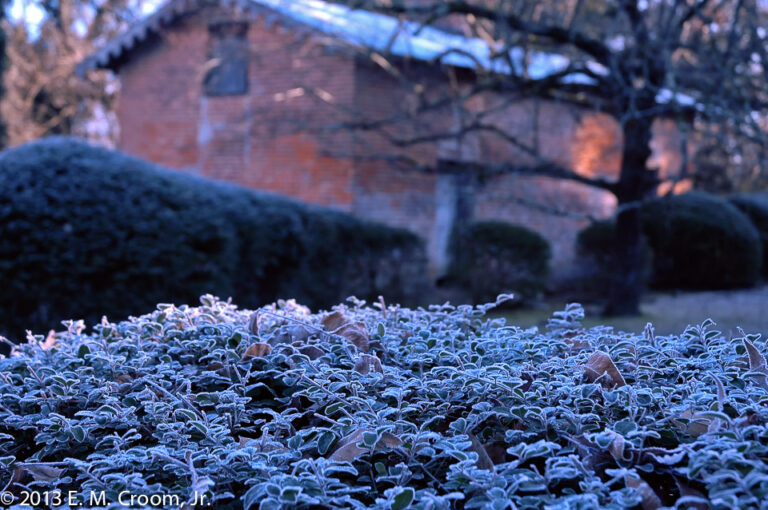 Week Starts off Cold; Gradual Warming With Rain Expected Later in the Week