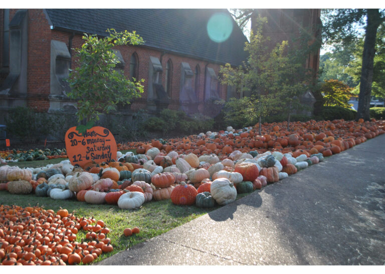 Fall Activities to Enjoy in Lafayette County