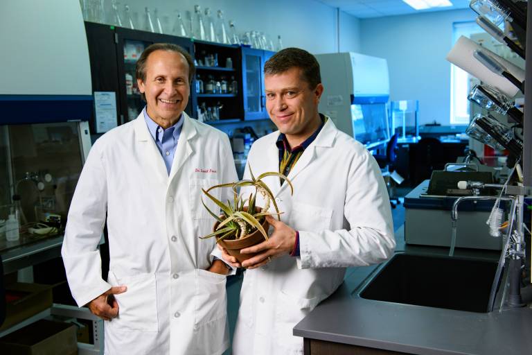 UM Researchers, Woodcliff Skincare Partner for Aloe Product Patent