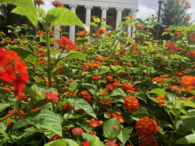 UM Landscaping Crew Adapts to a Changing Campus
