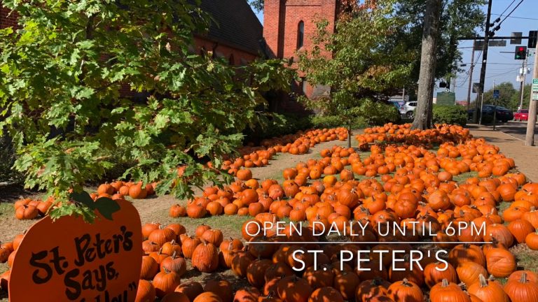 Here Are Some of The Best Fall Activities in Oxford