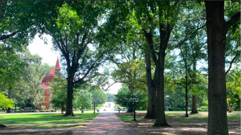 Here’s why Ole Miss graduates are choosing to make the ‘Velvet Ditch’ their permanent home