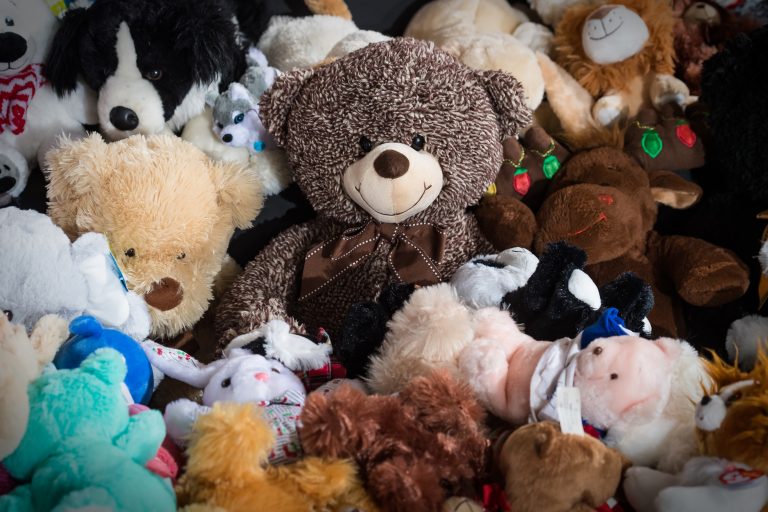 Donations Sought for 23rd Annual Books and Bears Program