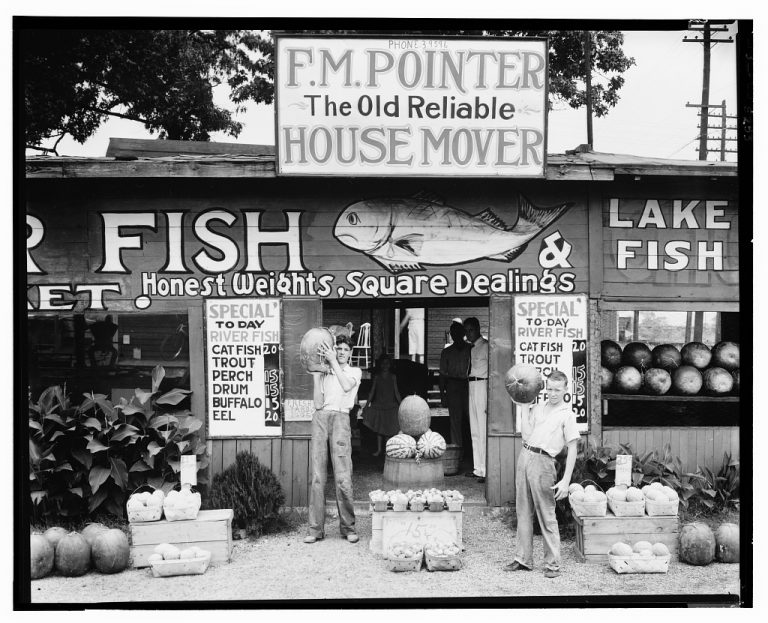 Allen Boyer: ‘Starting from Scratch: Walker Evans,’ by Svetlana Alpers
