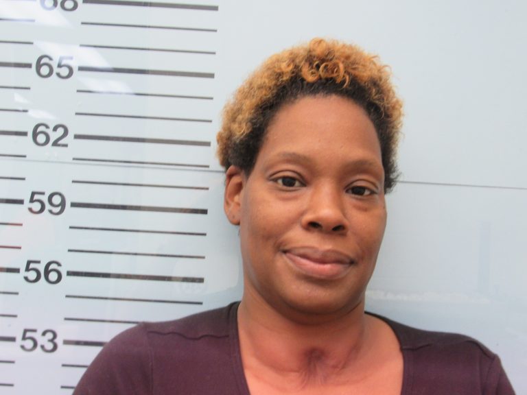 Woman Arrested for Helping Fugitive
