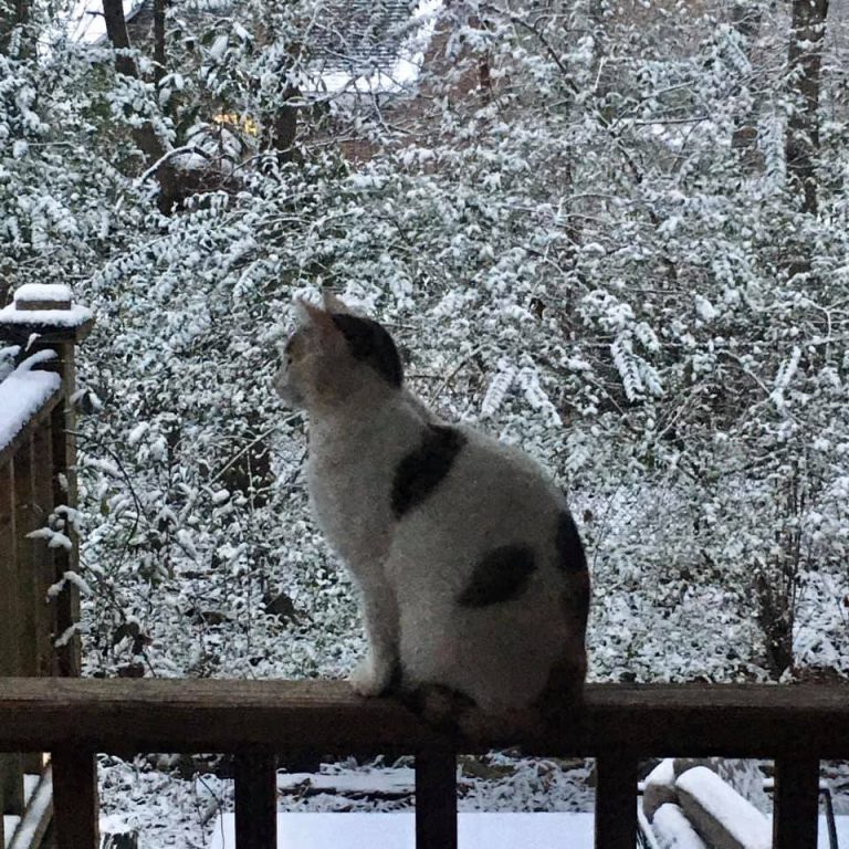 Oxford’s First Snowfall This Winter