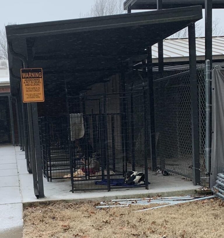 Oxford, Lafayette Police Investigate Complaints About Animal Shelter