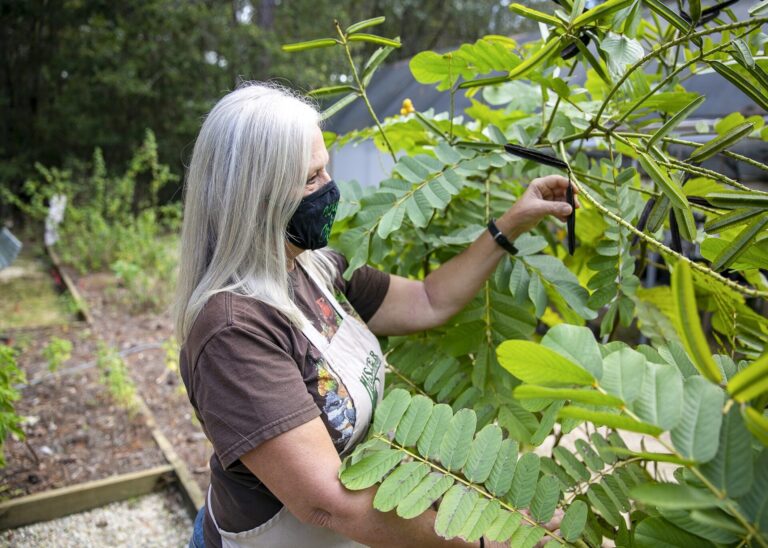 Registration Open for Online Master Gardener Classes