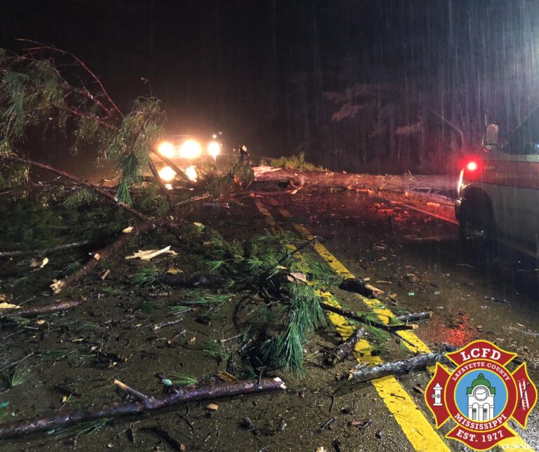 Sunday Night Storm Downs 3 Trees in Lafayette County