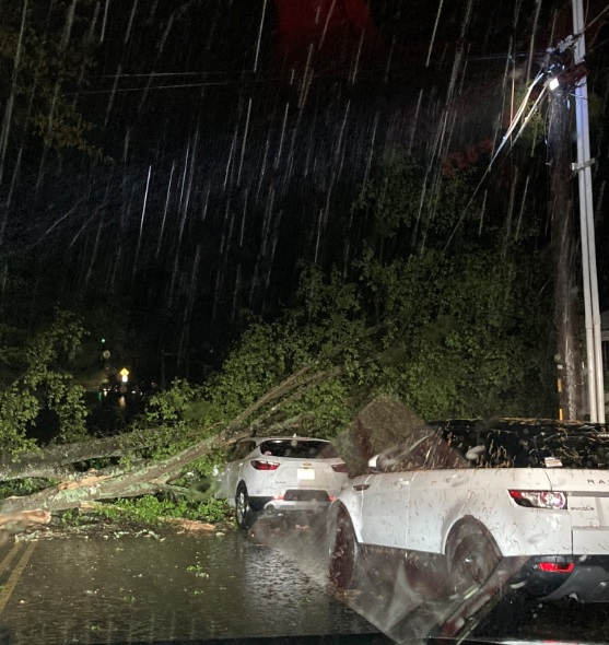 Early Morning Storms Knock Down Trees, Powerlines in Oxford