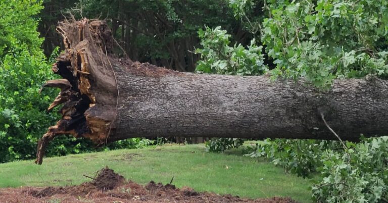 Mother’s Day Storm Wreaks Havoc Across Lafayette County