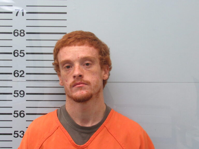 Harmontown Man Charged with Stealing Vehicle