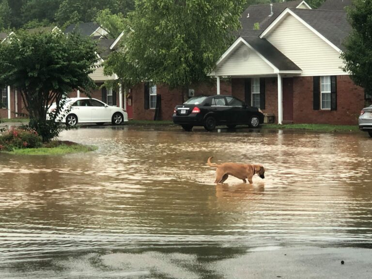 Oxford Sees Break in Rain But More is on its Way