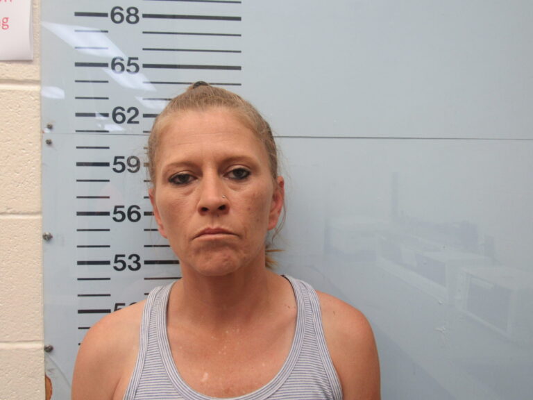 Woman Charged with Aggravated Assault After Hitting Man with Car