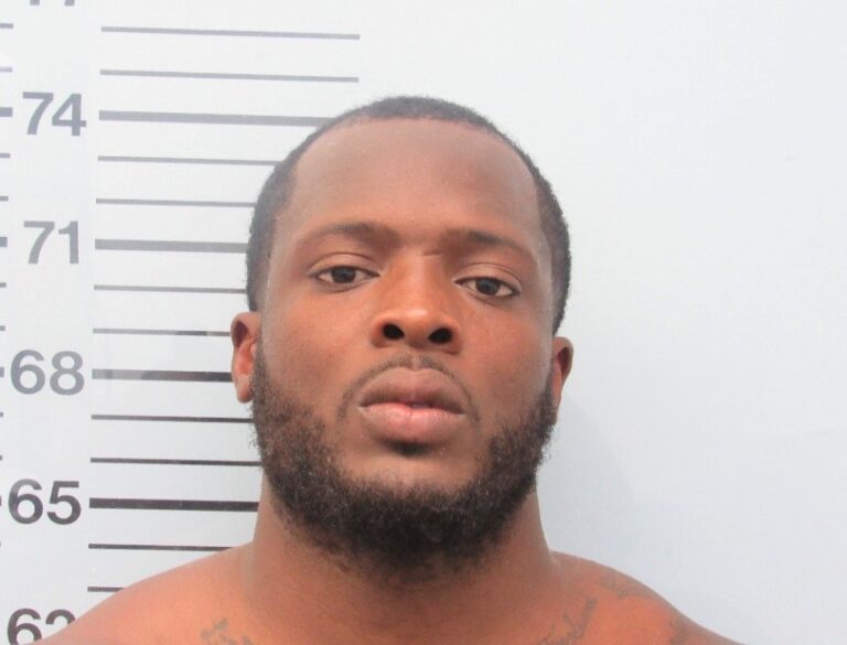 Domestic Fight Leads to Arrest