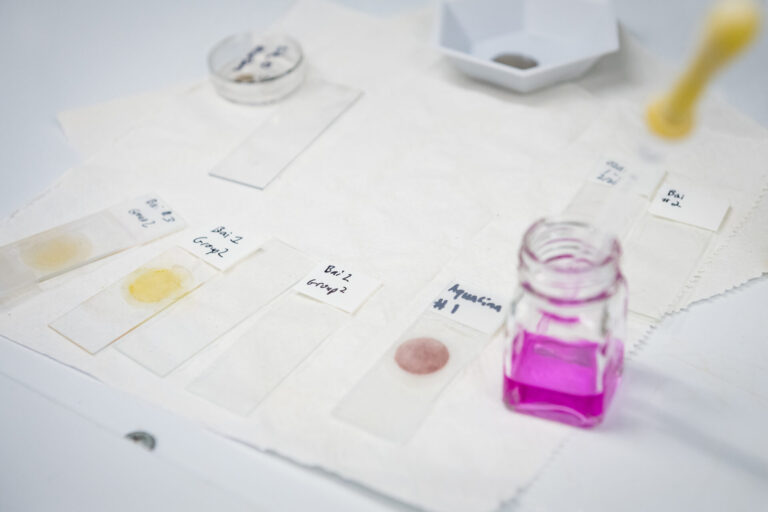 National Science Foundation Funding Provides New Imaging Microscope for UM Research