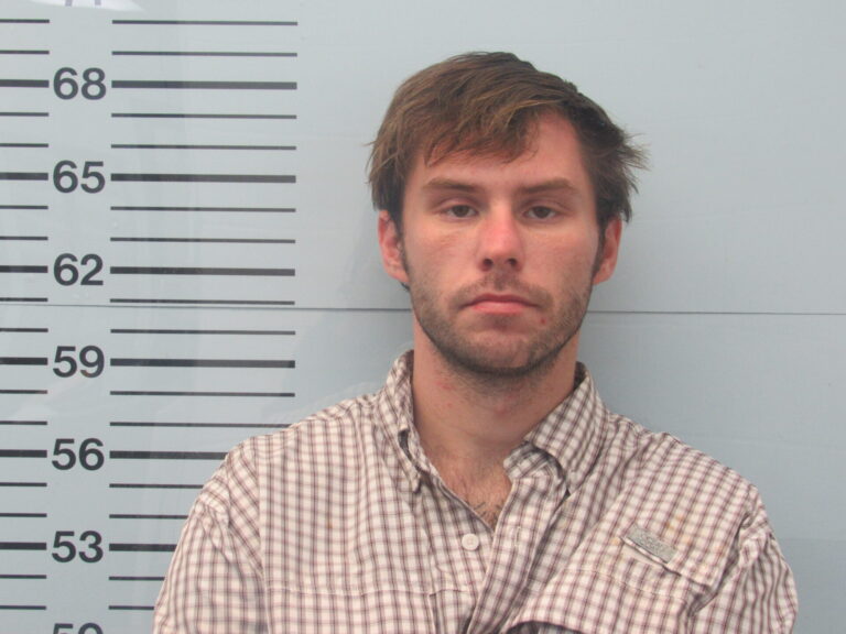 Convicted Felon Charged With Possessing a Gun, Meth