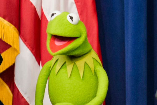 Pic of Kermit the Frog