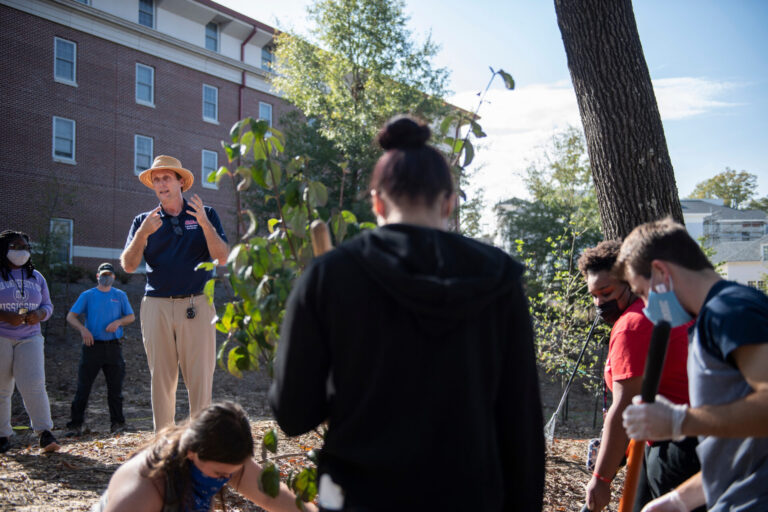 University Earns ‘Tree Campus’ Distinction