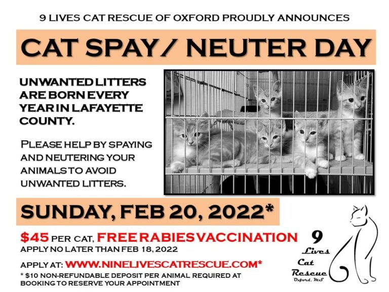 9 Lives Cat Rescue to Hold Spay Day