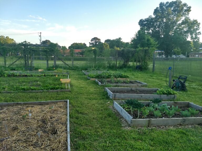 Oxford Community Garden Offers LOU residents a Place to Grow