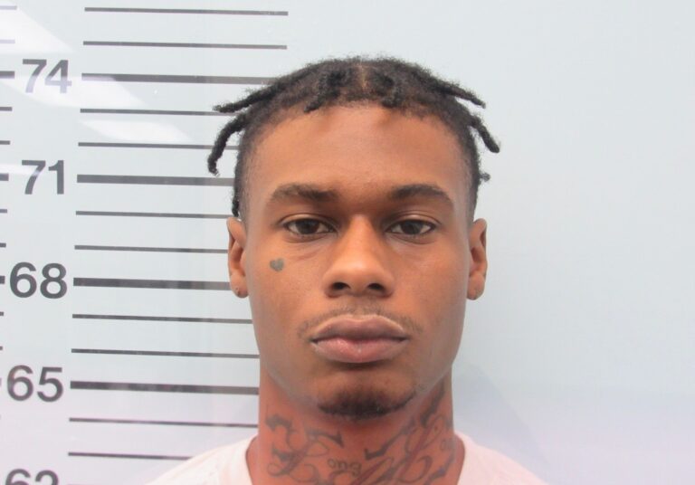 Traffic Stop Leads to Felony Arrest