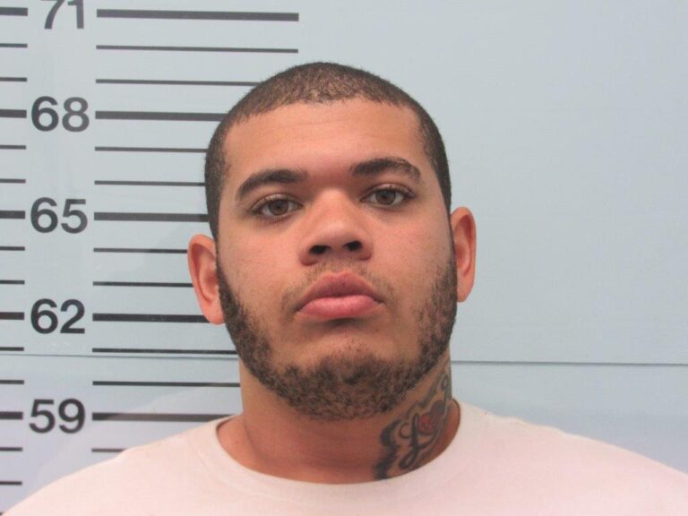 Sardis Man Charged with Felony Shoplifting