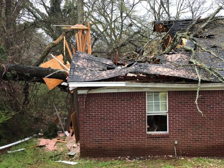 Storms Down Trees, Powerlines Throughout Lafayette County