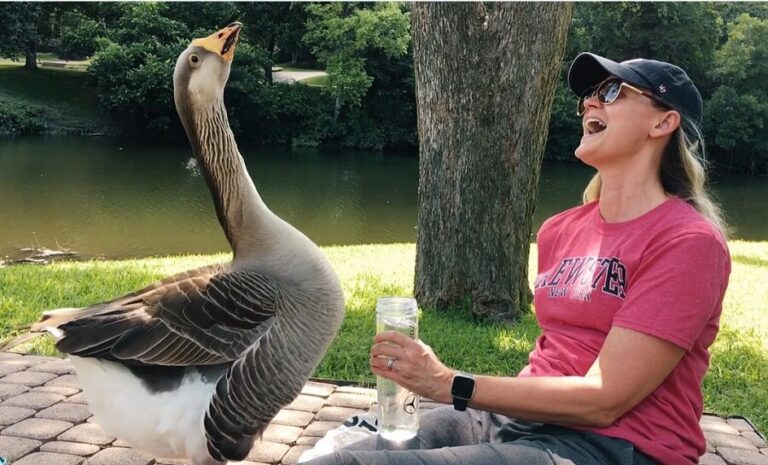 OFF Announces Filmmaker Appearances, Family Film Presentation