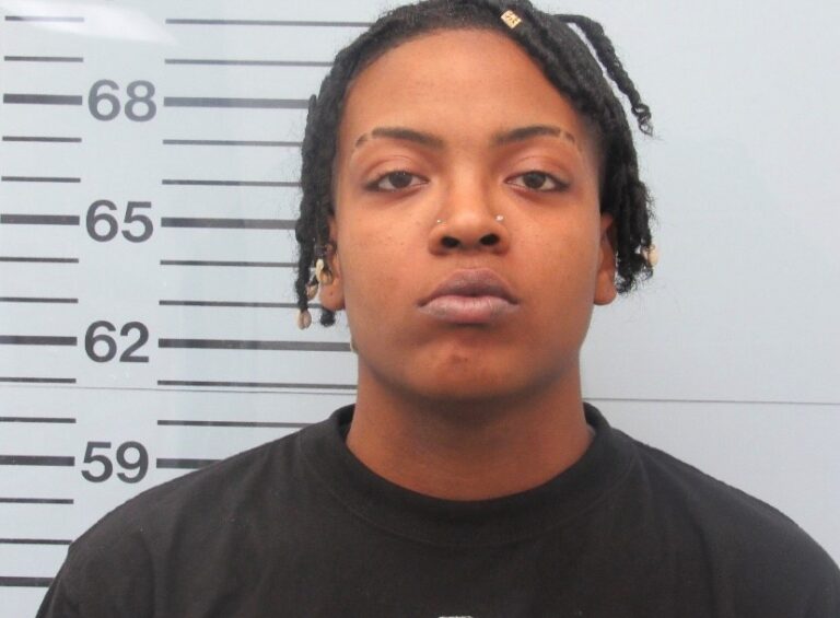 Possession of Stolen Gun Leads to Arrest