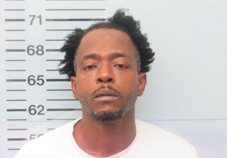 Alleged Car Burglar Charged With Felony