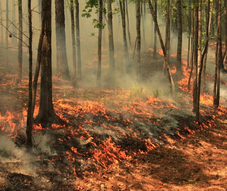 Burn Ban Now in Effect in Lafayette County