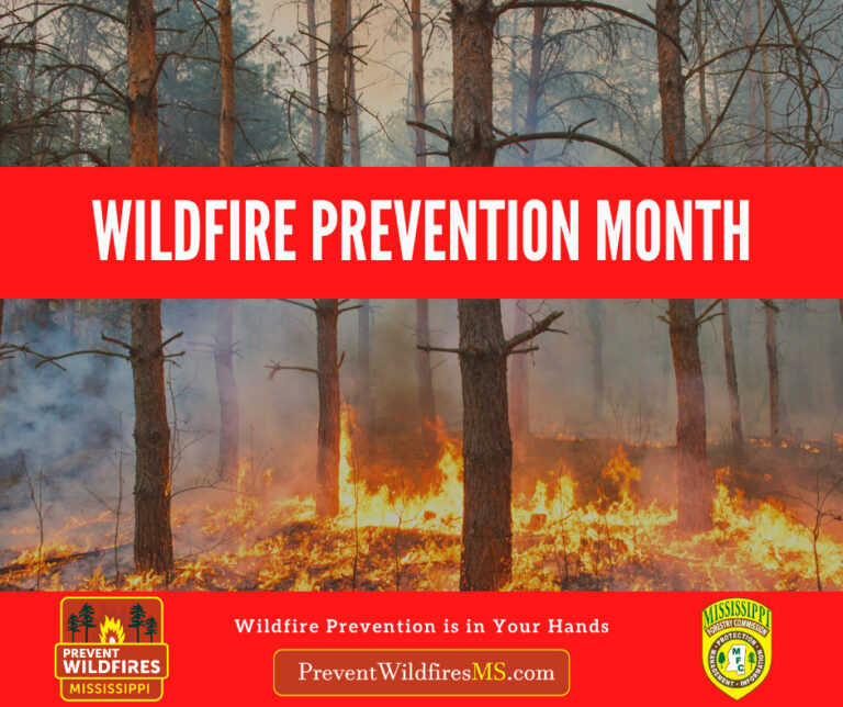 Wildfire Season Has Begun; Take Steps to Prevent Them