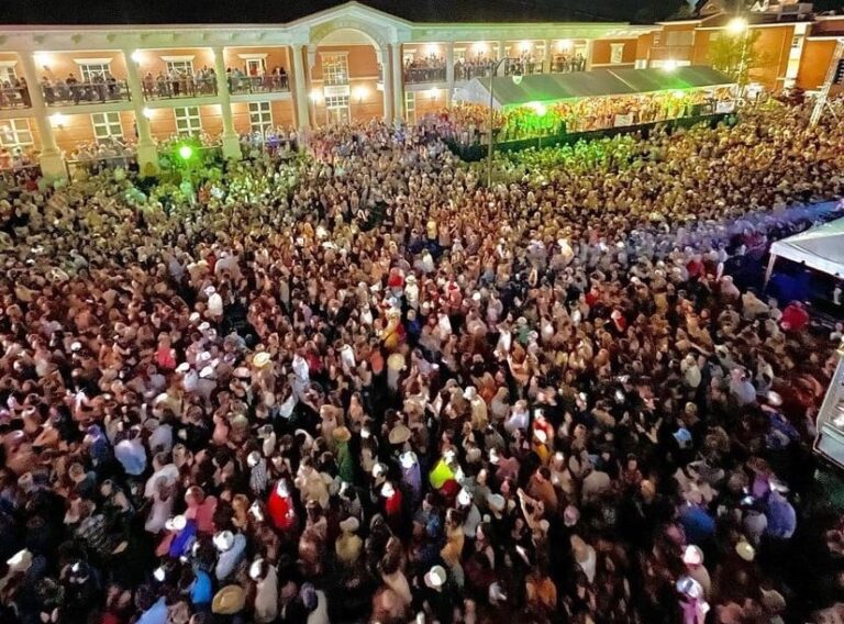 25th Double Decker Arts Festival Deemed a ‘Huge Success’