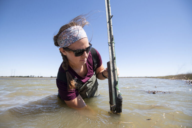 Delta Conservation Topic for Hybrid Oxford Science Cafe