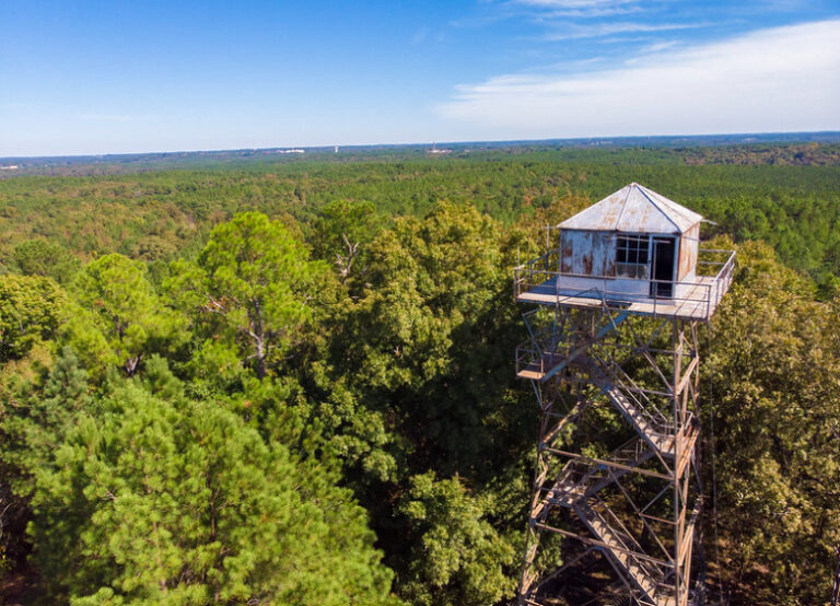 Thacker Mountain Fire Tower’s Days Are Numbered