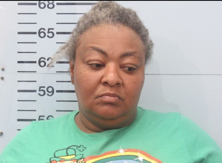 Woman Faces Felony Shoplifting Charge