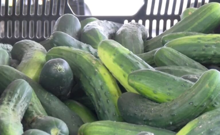 Mid-Town Farmers’ Market Offering Fresh Food to Locals for 22 Years