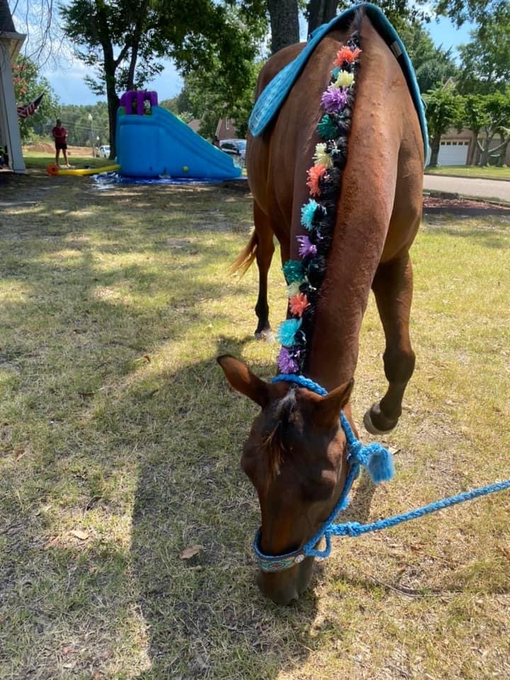 Abbeville Woman Brings Horse to Child’s Party After Hearing Sister’s Plea on TikTok