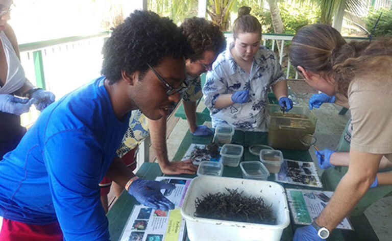 Travel Fund for UM Students Reaches Endowment Level