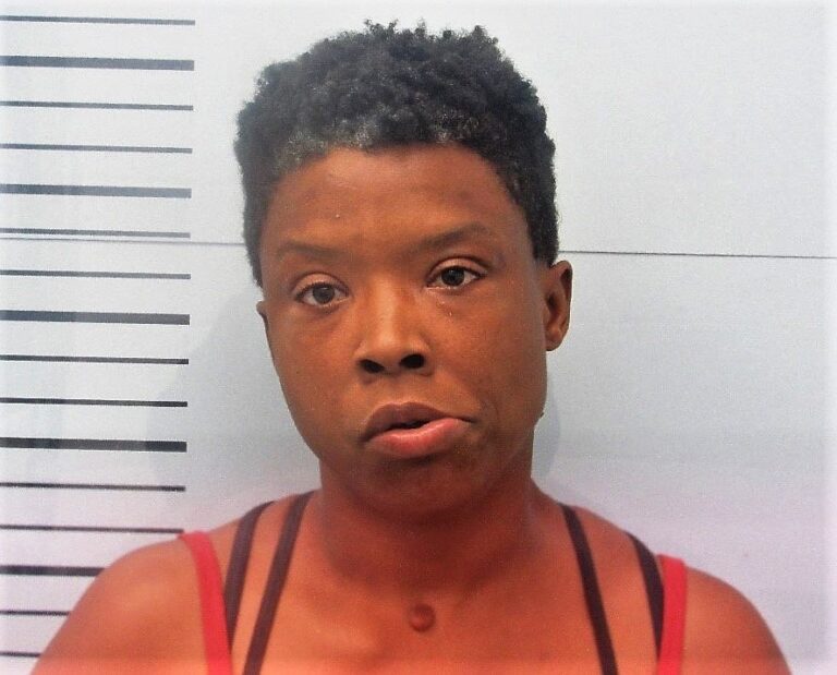 Lafayette County Woman Charged With Car Theft