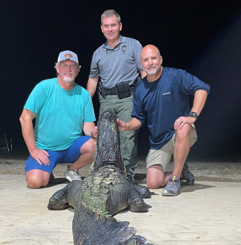 New State Record Female Alligator Taken by Mississippi Hunters ￼