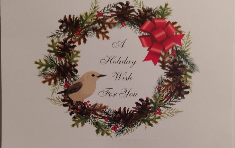 Make a Donation to the Pantry in Honor of Someone on Your Gift List