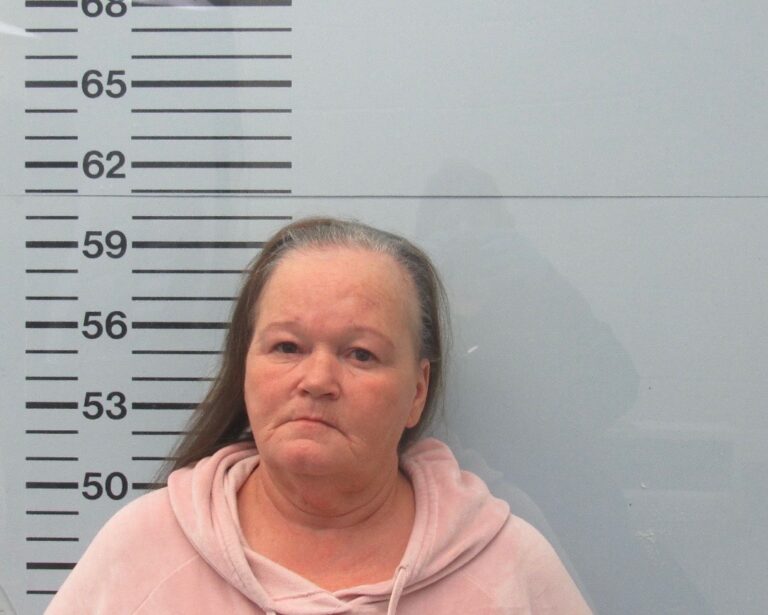 Batesville Woman Charged with Credit Card Fraud