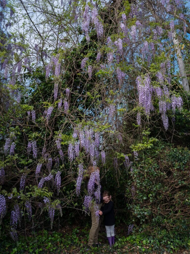 Spring SouthTalks Continue ‘Race in the Classroom’ Theme