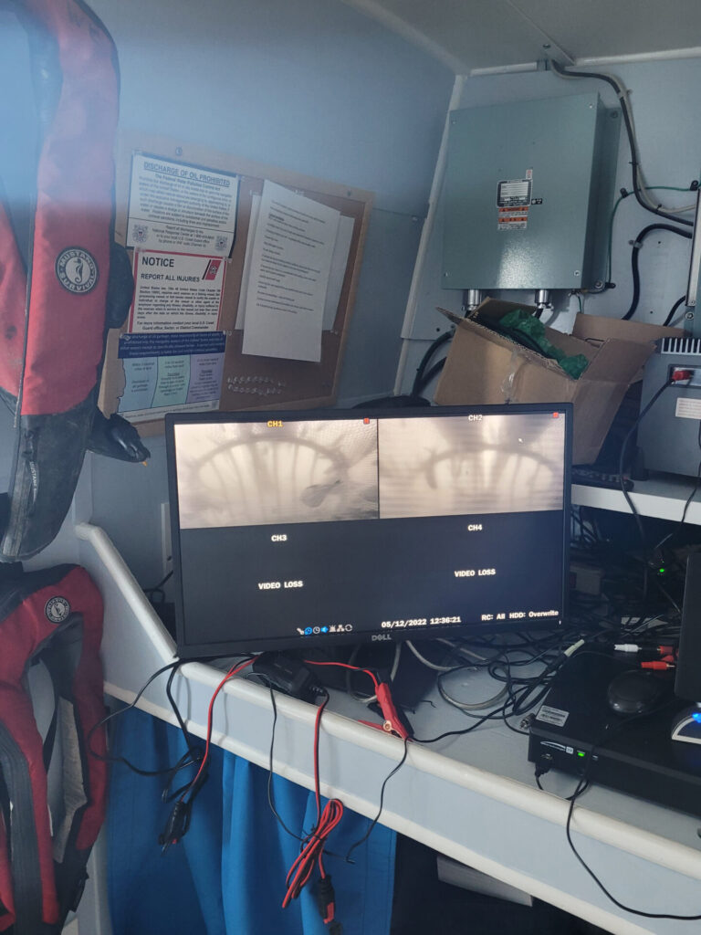 Sound Enhances Sea Turtle Conservation