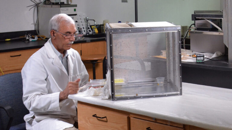 Diamond Flower Compounds Show Promise in Repelling Mosquitoes